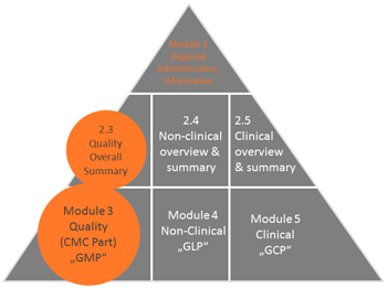 Regulatory Triangle